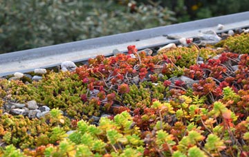 the cost of Horton Common green roof installation