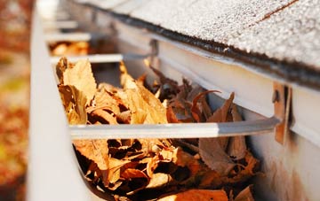 Horton Common gutter cleaning companies