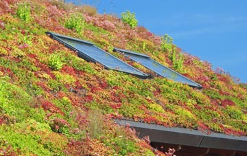 Horton Common living roof systems