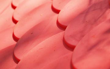 Horton Common plastic roof costs