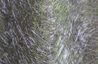 Horton Common fibreglass roof work