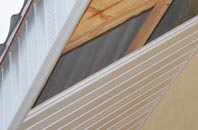 rated Horton Common soffit repair companies